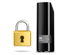 西部数据外置硬盘数据恢复服务